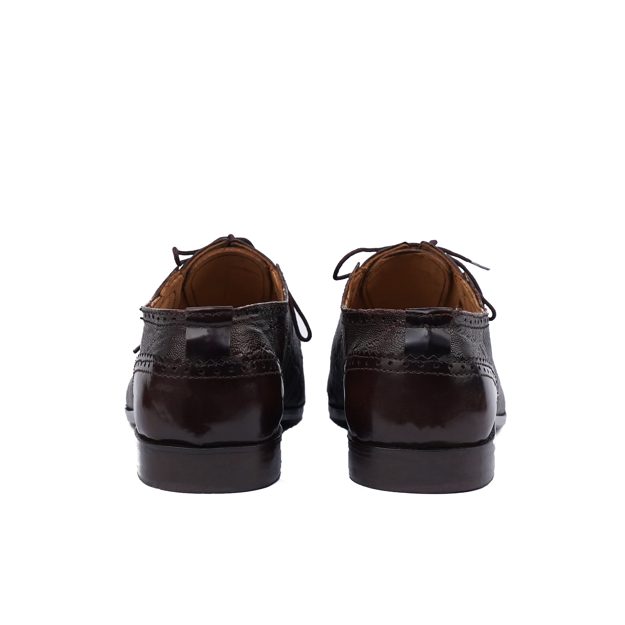 VIM-03 Discovery Brown